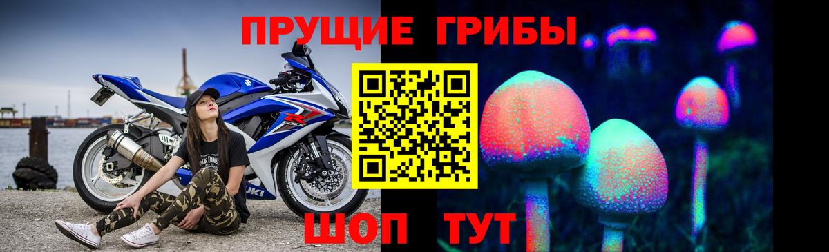Галлюциногенные грибы GOLDEN TEACHER  Псилоцибиновые грибы мухоморы  Вход с VPN  Менделеевск 