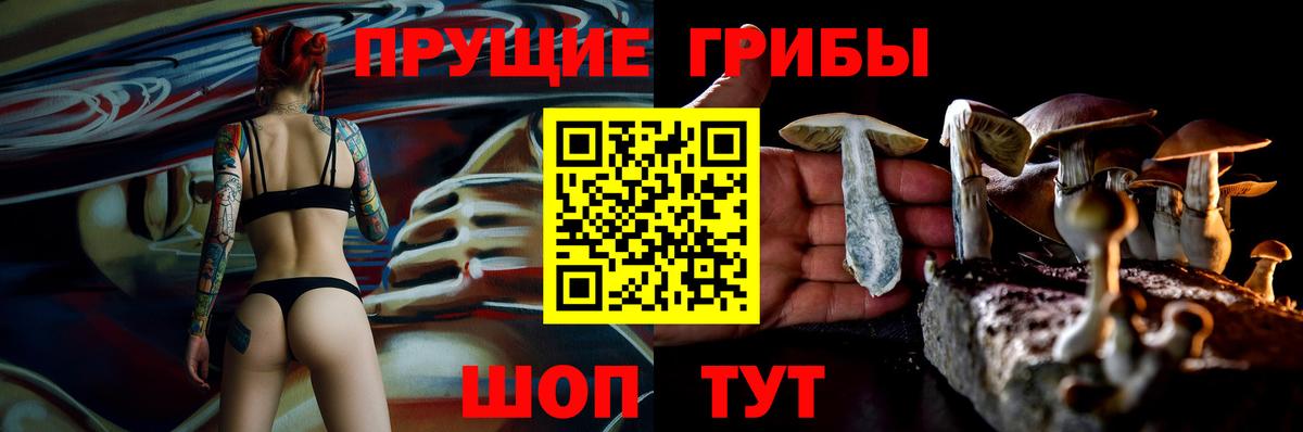 Псилоцибиновые грибы ЛСД Менделеевск